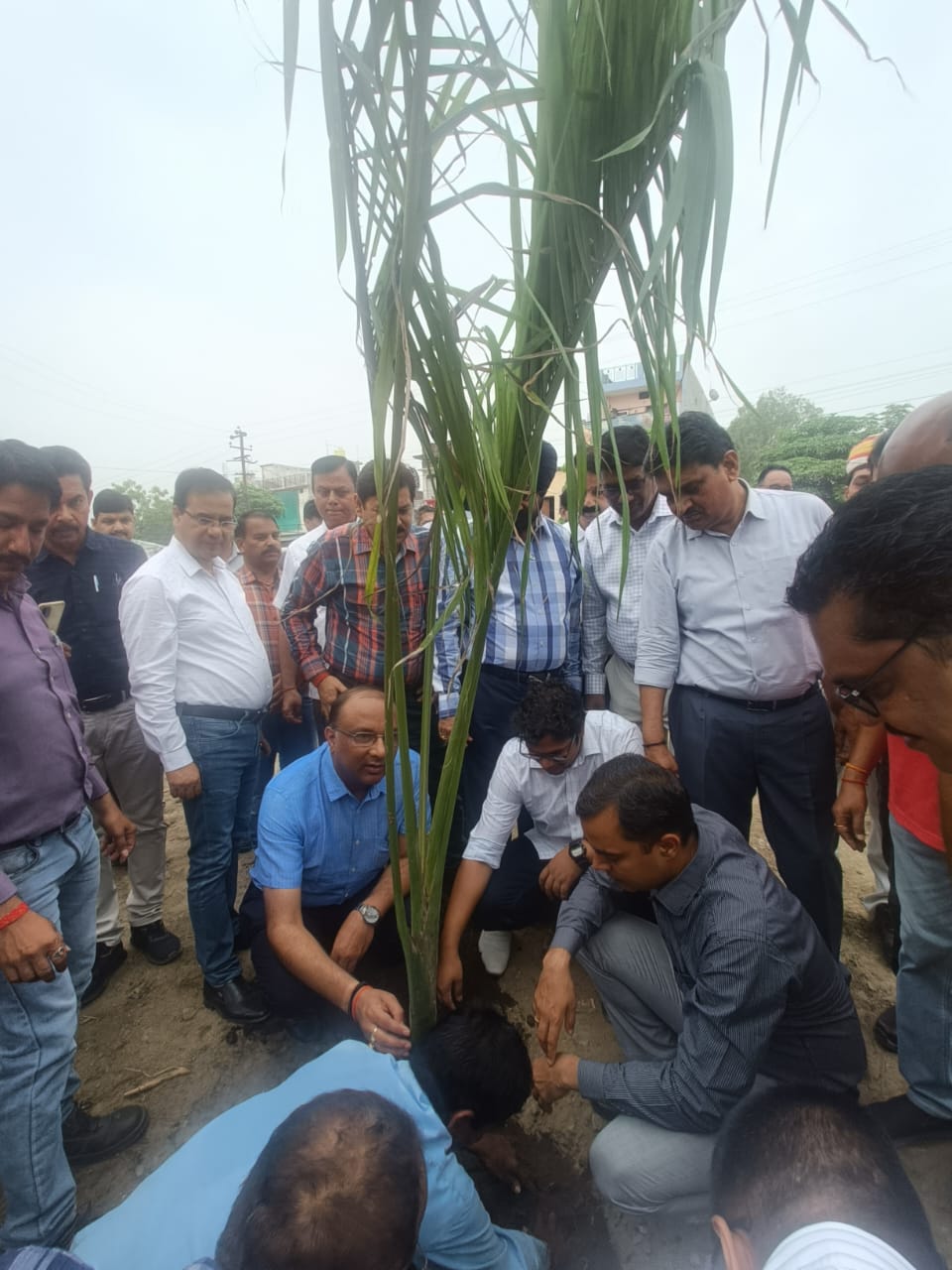 विश्व पर्यावरण दिवस पर डीएम ने किया वृक्षारोपण,सभी से अपने घरों पर एक वृक्ष जरूर लगाने की किया अपील